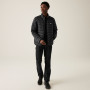 Herrenjacke Regatta Marizion