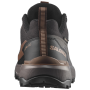 Herrenschuhe Salomon X Ultra 360 Gore-Tex