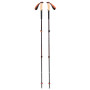 Trekkingstöcke Black Diamond Trail Cork Trekking Poles