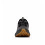 Herrenschuhe Columbia Terrastride™ Crz
