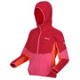Kinder-Sweatshirt Regatta Dissolver VIII
