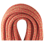 Kletterseil Edelrid Boa Gym 9,8 mm 40 m