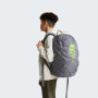 Schulrucksack für Oberstufe The North Face Y Court Jester