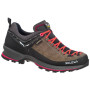 Damenschuhe Salewa Ws Mtn Trainer 2 Gtx braun