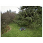 Wanderzelt Vango Omega TC 350
