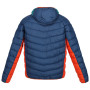 Herren-Winterjacke Regatta Harrock