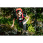 Damenhose High Point Versa Lady Pants