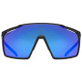 Brille Uvex MTN PERFORM