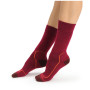 Damensocken Icebreaker W's Hike+ Medium Crew