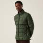 Herrenjacke Regatta Wilnor