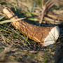 Hundespielzeug Explorer Dog Antler Chew easy