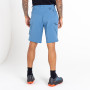 Herrenshorts Dare 2b Tuned In II Short