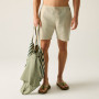 Herrenshorts Regatta Hadlin Shorts
