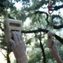 Klettergriffe YY VERTICAL Rocky