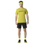 Herren-T-Shirt Dynafit Traverse 2 M S/S Tee