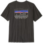 Herren-T-Shirt Patagonia M's '73 Skyline T-Shirt