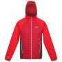 Herren-Winterjacke Regatta Andreson VII Hybrid rot DkRed/ChinRd