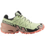 Damenschuhe Salomon Speedcross 6 Gore-Tex