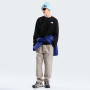 Herren-Sweatshirt The North Face M Evolution Box Nse Regular Crew