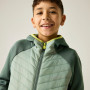 Kinderjacke Regatta Junior Andreson Hybrid