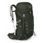 Rucksack Osprey Talon 33 (2023) grün YerbaGreen