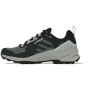 Damenschuhe Adidas TERREX SWIFT R3 GTX W 2023