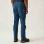 Herrenhose Regatta Highton Trousers I