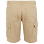 Herrenshorts Regatta Ruwan Shorts