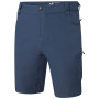 Herrenshorts Dare 2b Tuned In Short II