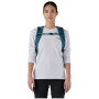 Rucksack Patagonia Black Hole Pack 25L