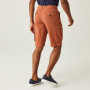 Herrenshorts Regatta Shorebay Short
