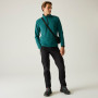 Herrenhose Regatta Xert Stretch Z/O Trousers