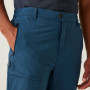 Herrenhose Regatta Highton Trousers I
