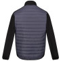 Herren-Winterjacke Regatta ClumberIII Hybrid