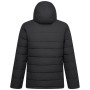 Herren-Steppjacke Regatta Frankie Padded