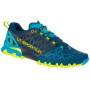 Herrenschuhe La Sportiva Bushido II