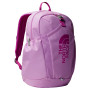 Rucksack The North Face Y Mini Recon rosa Dragonfruit/Deep Mulber