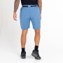 Herrenshorts Dare 2b Tuned In ProShort