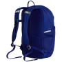 Schulrucksack für Oberstufe The North Face Y Court Jester