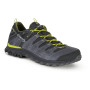 Herrenschuhe Aku Alterra Lite GTX anthrazit/grün Anthracite/Lime