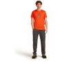 Herren T-Shirt Icebreaker Men Merino 150 Tech Lite Bear Tour