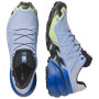 Herren Laufschuhe Salomon Speedcross 6 GTX Icon