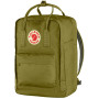 Urban-Rucksack Fjällräven Kånken Laptop 15" grün Foliage Green