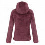 Damen-Sweatshirt Dare 2b W Pro Torrek Midlayer