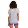 Damen-Funktionsshirt Icebreaker W Mer 150 Tech Lite SS Tee Sunrise Sumit
