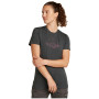 Damen-Funktionsshirt Icebreaker W Mer 150 Tech Lite SS Tee Sunrise Sumit