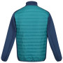 Herren-Winterjacke Regatta ClumberIII Hybrid