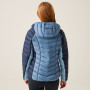 Damen-Winterjacke Regatta Women Hooded Dalent