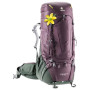 Damenrucksack Deuter Aircontact PRO 65+15 SL (2020) lila AubergineIvy