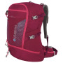 Rucksack Husky Cingy 30 rosa Magenta